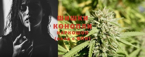 крисы Богданович