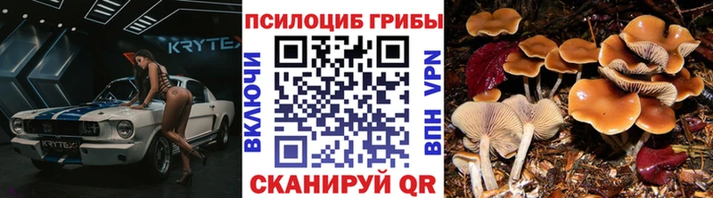Галлюциногенные грибы MAGIC MUSHROOMS  купить  цена  Кострома 